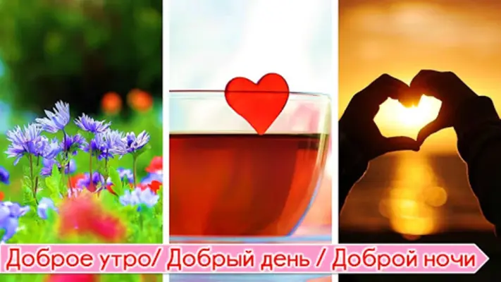 Russian Good Morning to Night love android App screenshot 9